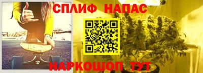 гашик Краснознаменск