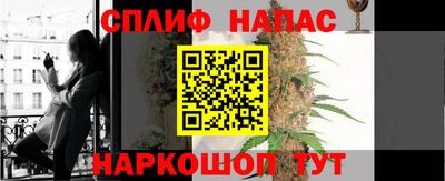 гашик Краснознаменск