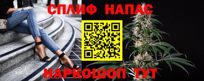 дживик Краснодар