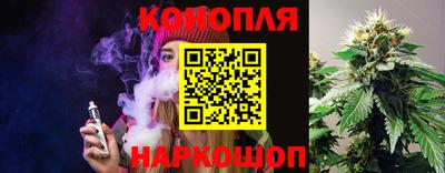 гашик Краснознаменск