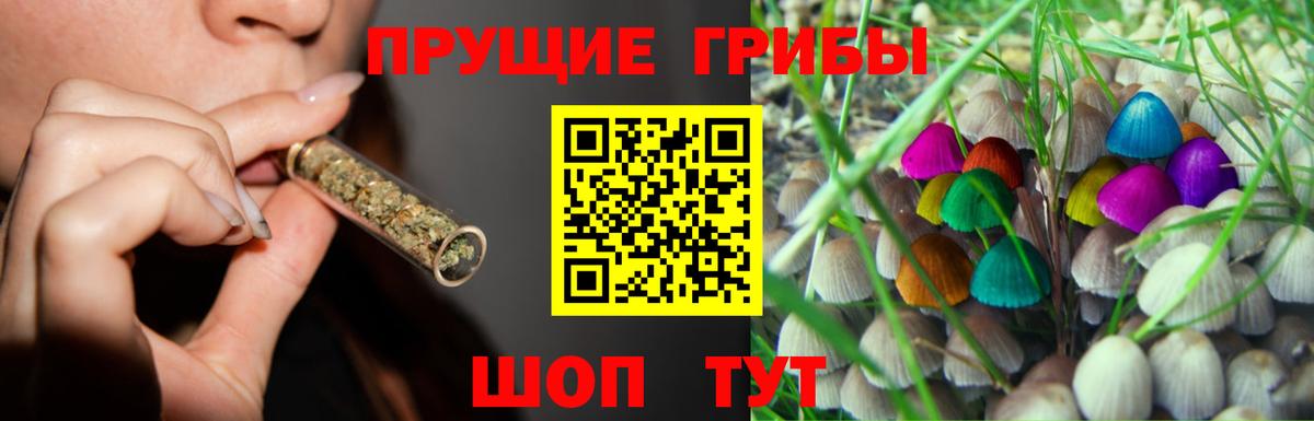 Галлюциногенные грибы мухоморы  Вход с VPN  цены   Усть-Илимск  Псилоцибиновые грибы мицелий 